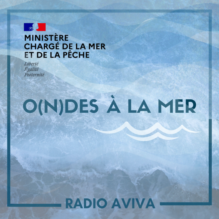onde à la mer